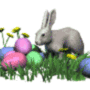 bunny_easter_eggs_md_wht