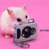 Say-Cheese_1a