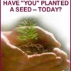 In_His_Hands_SEED-1