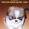 Puppy_-_Not_Happy_GOD-1a