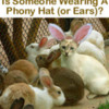 Bunny-Imposter_EARS