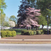 Wilson_Park_with_Post_Office_in_background_2006