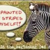 ZebraStripes