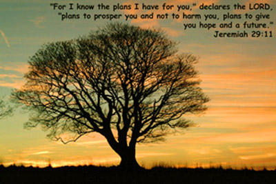 Jeremiah-29-11-PLANS-1a