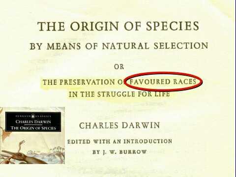 darwins book