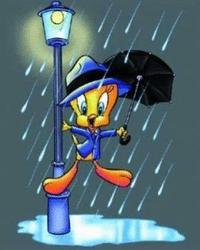 Tweety Dancing In The Rain