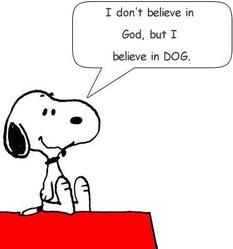 Snoopy-DOG