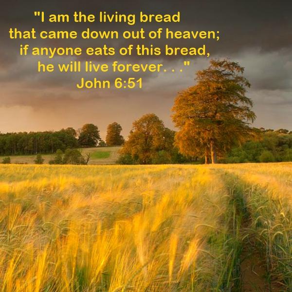 John 6-51 - Harvest Time