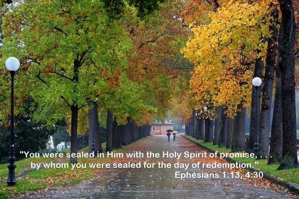 Ephesians 1-13, 4-30 - Walk In The Park