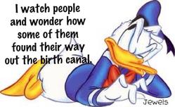 Donald Duck - Birth Canal