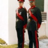 Bermuda_Regiment_Warrant_Officers