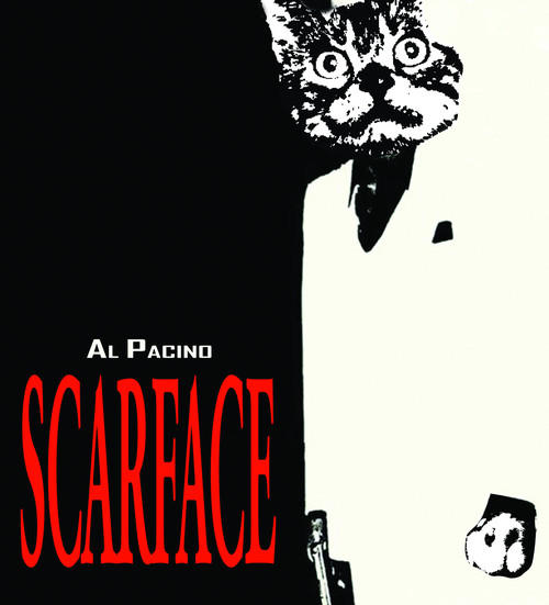 scarface-cat-movie-poster--large-msg-12895189141