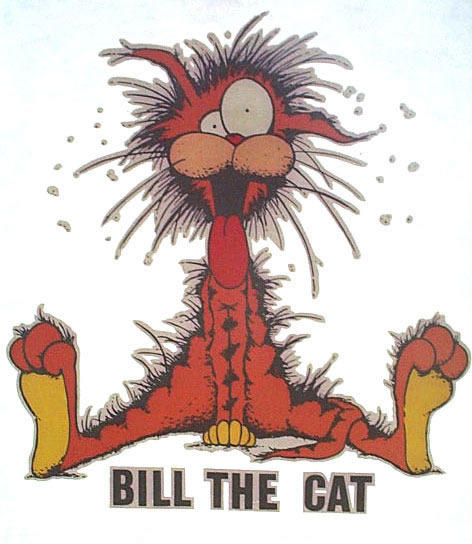 bill the cat_jpg