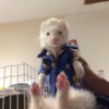 FullSizeRender: My sisters ferret in his jammies.