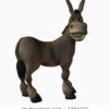 Democrat Donkey: DNC
